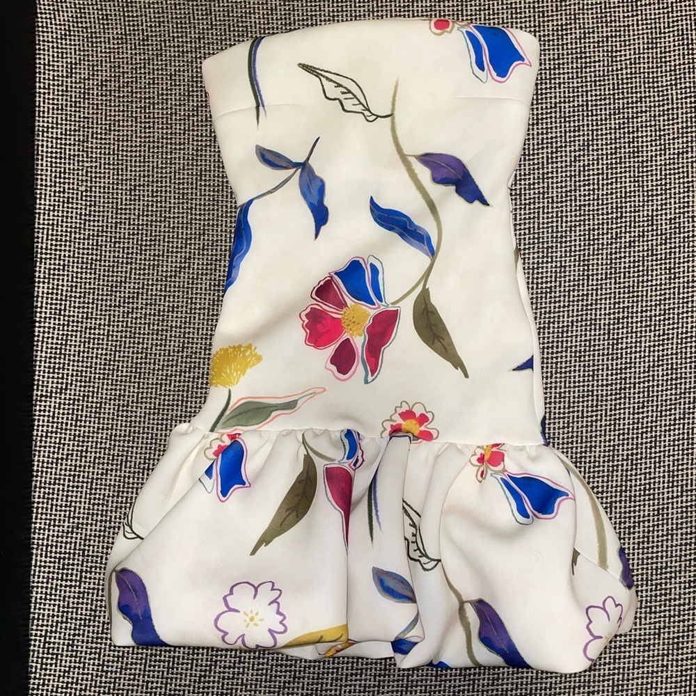Nasty Gal Floral Print Strapless Mini Dress